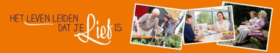 Banner_Oranje_LLDJLI