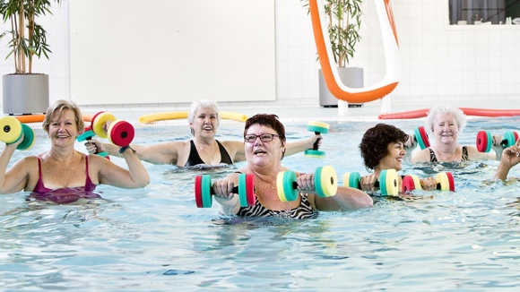 Zwembad Steenvoorde Goed Voor Uw Gezondheid Florence