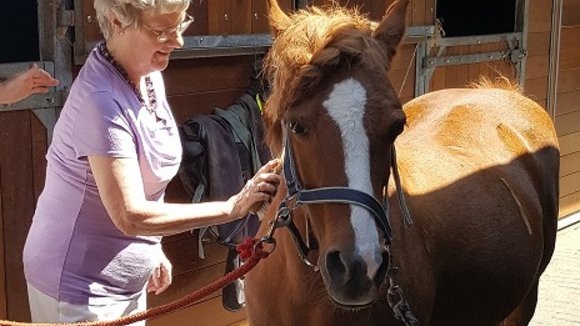 Waardevolle paardentherapie voor bewoners Wijndaelercentrum | Florence