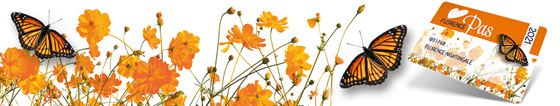 Header-nieuwsbrief FlorencePas 2021